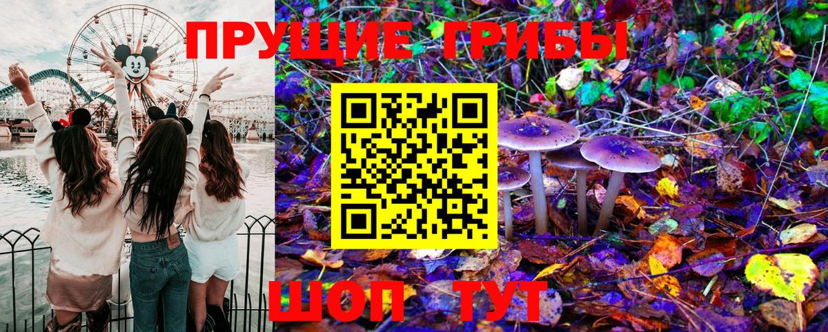 Галлюциногенные грибы Magic Shrooms  Вход с VPN  Галлюциногенные грибы Psilocybine cubensis  Рязань 